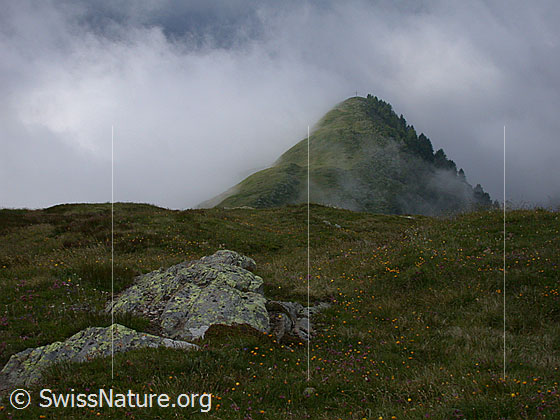 Foto: Geländerücken oberhalb Imfeld, welcher knapp aus dem Nebel ragt.