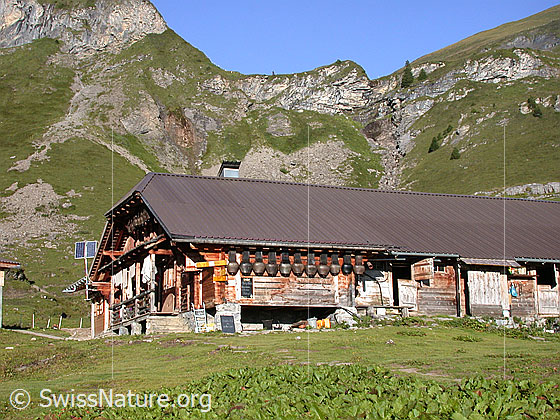Foto: Alp Suls (bei Lobhornhütte)