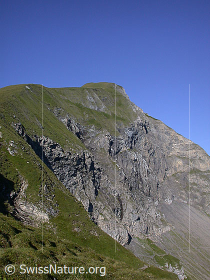 Foto: Sulegg von E (unterhalb Schärihubel)