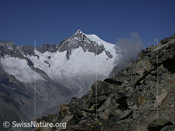 Foto: Aletschhorn von SE (Eggishorn)