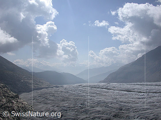 Foto: Aletschgletscher im Gegenlicht. Aufnahmeort: Platta.
