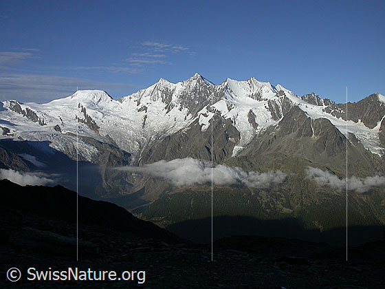 Foto: Alphubel und Mischabel von E
Alphubel, Täschhorn, Dom, Lenzspitze, Nadelhorn, Stecknadelhorn und Hohberghorn. Vorgelagert Ulrichshorn und Balfrin.