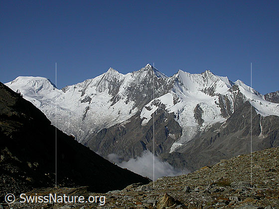 Foto: Alphubel und Mischabel von NE (Hohsaas)
Alphubel, Täschhorn, Dom, Lenzspitze, Nadelhorn und Stecknadelhorn. Vorgelagert das Ulrichshorn.
