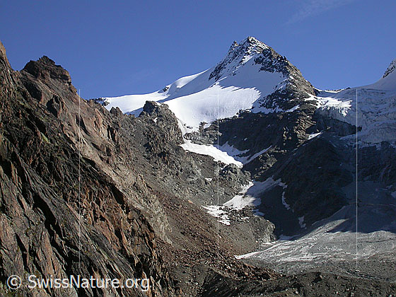 Foto: Fletschhorn von SW  (Aufstieg Jegihorn)
Links die Hänge des Grüebugletschers, rechts der Fletschhorngletscher.