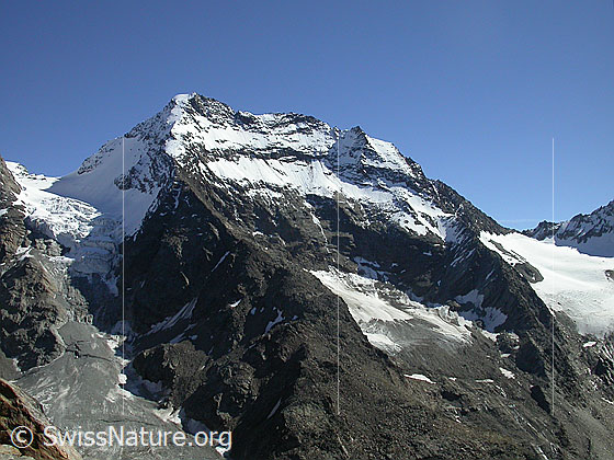 Foto: Lagginhorn von W (Gipfel Jegihorn).
Links das Fletschjoch und der Fletschhorngletscher, rechts das Lagginjoch und der Hohlaubgletscher.