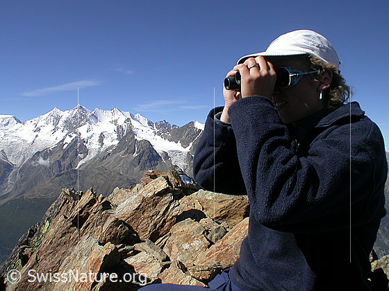 Foto: Gipfelrast auf dem Jegihorn. Im Hintergrund die Mischabelgruppe.