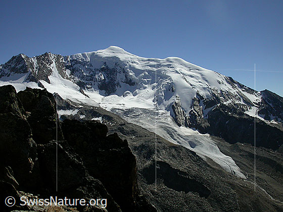 Foto: Weissmies und Triftgletscher von NW  (Gipfel Jegihorn)

.