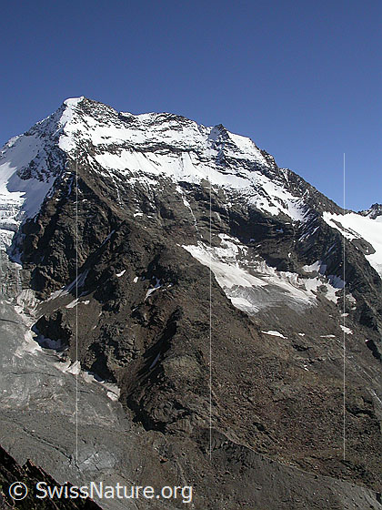 Foto: Lagginhorn von W (Gipfel Jegihorn)
Davor der Lagginhorngletscher. Rechts das Lagginjoch.