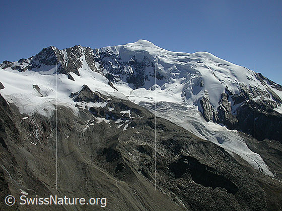 Foto: Weissmies und Triftgletscher von NW (Gipfel Jegihorn)

.