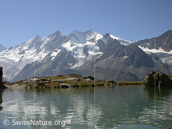 Foto: Mischabel von NE (Kreuzboden)
Täschhorn, Dom, Lenzspitze, Nadelhorn, Stecknadelhorn und Hohberghorn. Vorgelagert das Ulrichshorn.