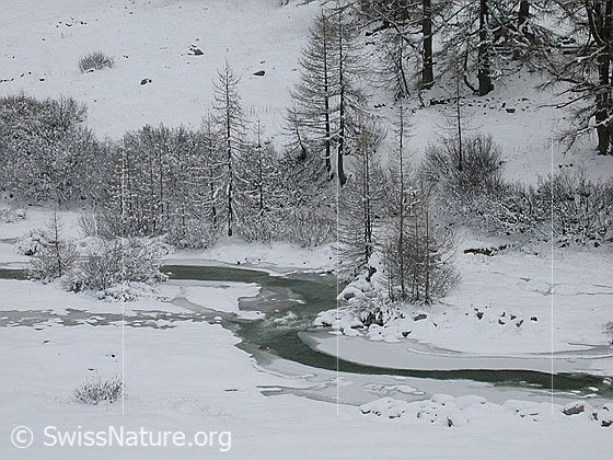 Foto: Winterliche Binna
