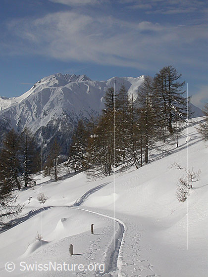 Foto: Frisch verschneite Landschaft Bättlihorn und Breithorn von NNE (Handschbiel)