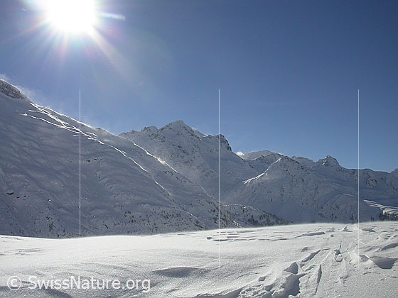 Foto: Frisch verschneite Landschaft mit Schwarzhorn von NE (Gand). Sichtbar sind Schneeverfachtungen im Vordergrund und Schneefahnen im Hintergrund.
