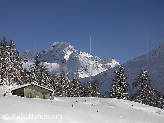 Foto: Frisch verschneite Landschaft mit Alphütte und Ofenhorn von W (Eggerebode).