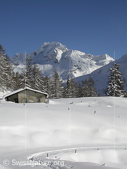 Foto: Frisch verschneite Landschaft mit Alphütte und Ofenhorn von W (Eggerebode).