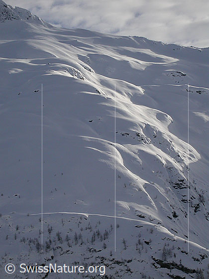 Foto: Riggi von N. Streiflicht modelliert die tief verschneite Landschaft.