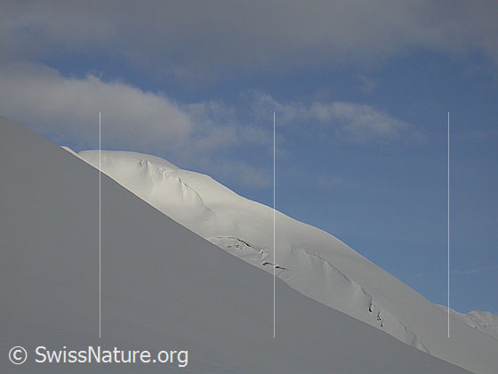 Foto: Winterliche Landschaft.