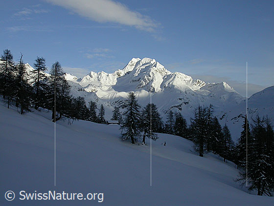 Foto: Winterliches Ofenhorn im Abendlicht von W. Interessante Stimmung.