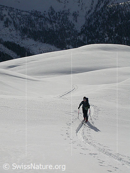 Foto: Skitourenfahrerin im Aufstieg zum Gandhorn.