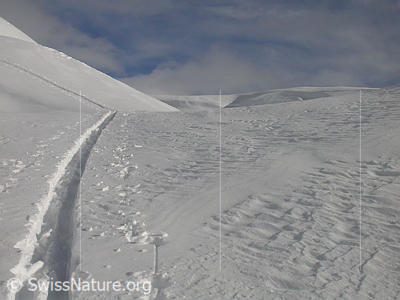 Foto: Aufstiegsspur in einsamer Winterlandschaft.