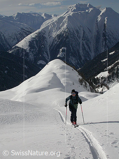Foto: Skitourenfahrerin im Aufstieg zum Gandhorn. Im Hintergrund Bättlihorn und Breithorn.