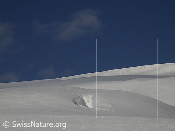 Foto: Einsame Winterlandschaft mit Verwehung.
