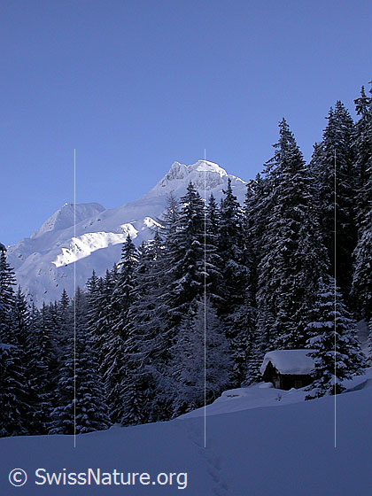 Foto: Winterlandschaft mit Alphütte, Wald und Bergen.