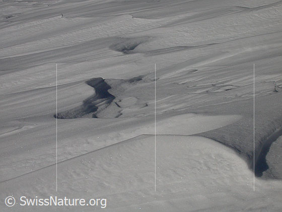 Foto: Vom Wind stark strukturierte Schneeoberfläche auf Gand.