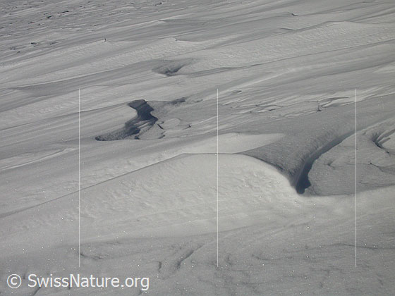Foto: Vom Wind stark strukturierte Schneeoberfläche auf Gand.