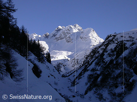 Foto: Ofenhorn von W (hinter Freichi)