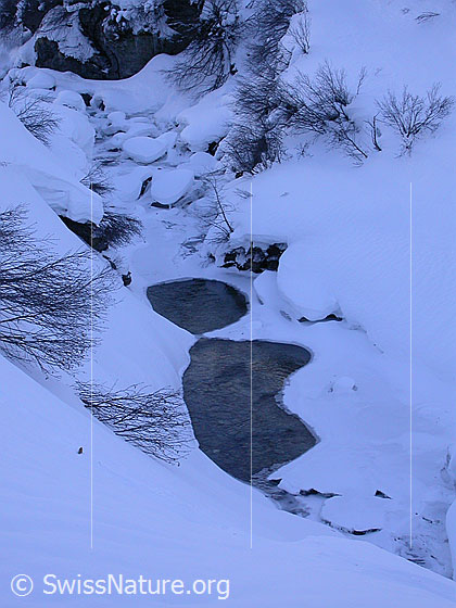 Foto: Winterliche Binna kurz vor Wyssbach