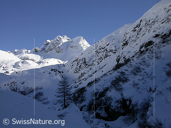 Foto: Ofenhorn von W (Wyssbach)