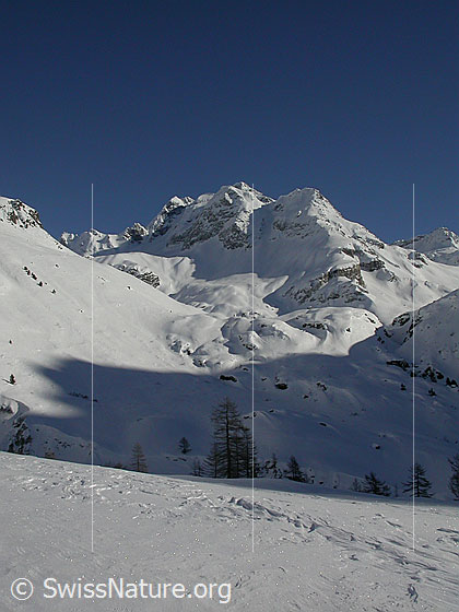 Foto: Ofenhorn von W (Steihitta)