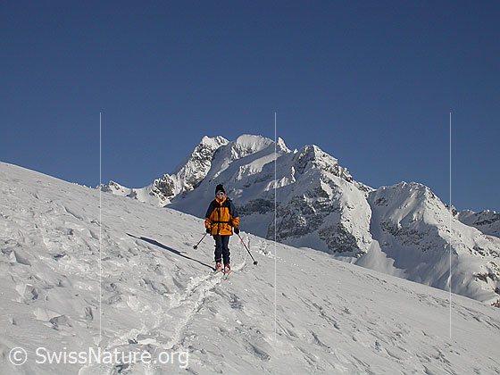Foto: Ofenhorn von W (Alp Wyssi) mit Skitourenfahrerin im Vordergrund.