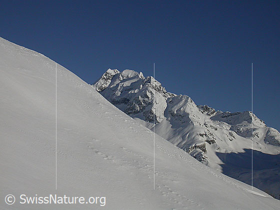 Foto: Ofenhorn von W (Gand) mit Triebschneehang im Vordergrund.