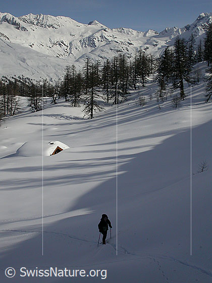 Foto: Blick über Dri Stafle in den hinteren Teil des Binntals. Von der Alphütte von Dri Stafle ist praktisch nur noch das Dach zu sehen. Im Vordergrund eine Skitourenfahrerin im Aufstieg.
