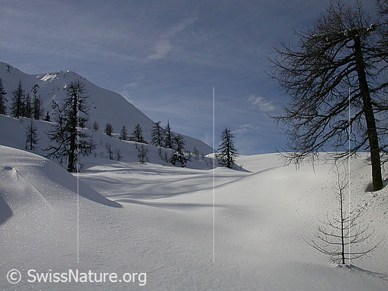 Foto: Unberührte Landschaft bei Hockbode.