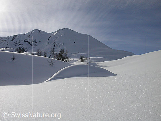 Foto: Vollständig eingeschneite Alphütte auf Hockboden.