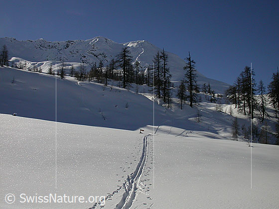 Foto: Aufstiegsspur in ansonten unberührter Landschaft bei Dri Stafle.