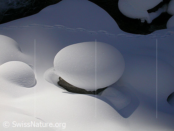 Foto: Eingeschneiter Mässerbach. Licht und Schatten. Tierspur im Schnee.