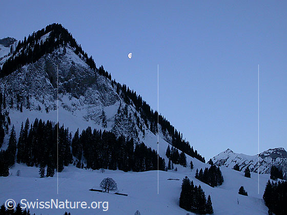 Foto: Ausläufer der Sieben Hengste mit Mond. Rechts ist der Einschnitt der Sichel zu sehen.