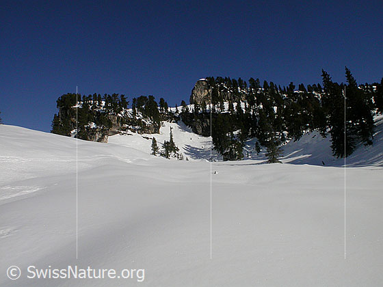 Foto: Im Aufstieg zum Hohgant West. Landschaft oberhalb Trogenalp.