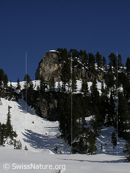 Foto: Im Aufstieg zum Hohgant West. Landschaft oberhalb Trogenalp.