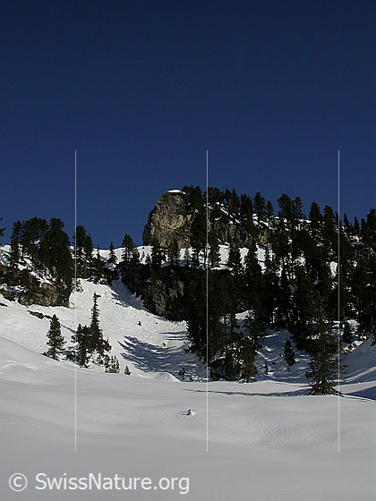 Foto: Im Aufstieg zum Hohgant West. Landschaft oberhalb Trogenalp.