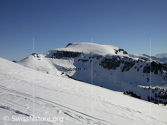 Foto: Im Aufstieg zum Hohgant West. Blick Richtung E zur Steinigi Matte