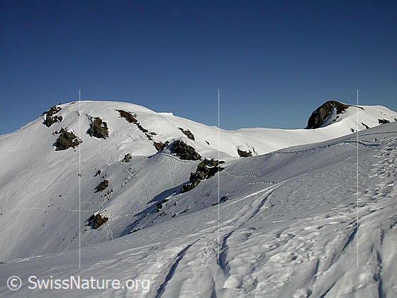 Foto: Im Aufstieg zum Hohgant West. Blick von Pt. 2032 Richtung N zum Gipfel.
