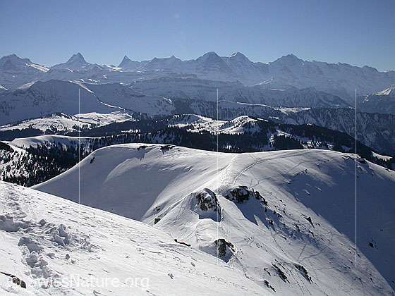 Foto: Gipfel Hohgant West: Blick Richtung Berner Alpen (S). 
Wetterhorn, Schreckhorn, Finsteraarhorn, Fiescherhörner, Eiger, Mönch und Jugfrau.