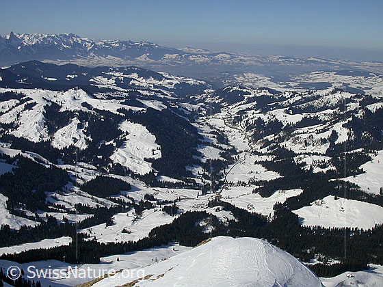 Foto: Gipfel Hohgant West: Blick über das Innereriz (W).