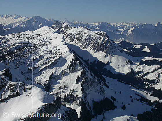 Foto: Gipfel Hohgant West: Blick Richtung WSW. Zu sehen sind die Ketten der Sieben Hengste und des Sigriswiler Rothorns.