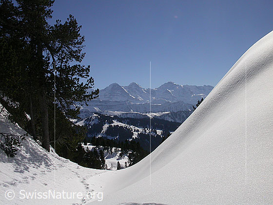 Foto: Abfahrt vom Hohgant West, oberhalb Trogenalp: Blick auf Eiger, Mönch und Jungfrau.